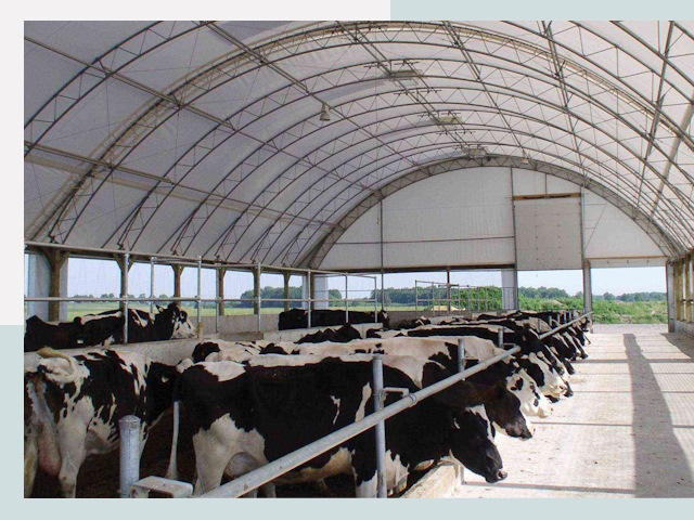 Тентовые коровники в Шуе